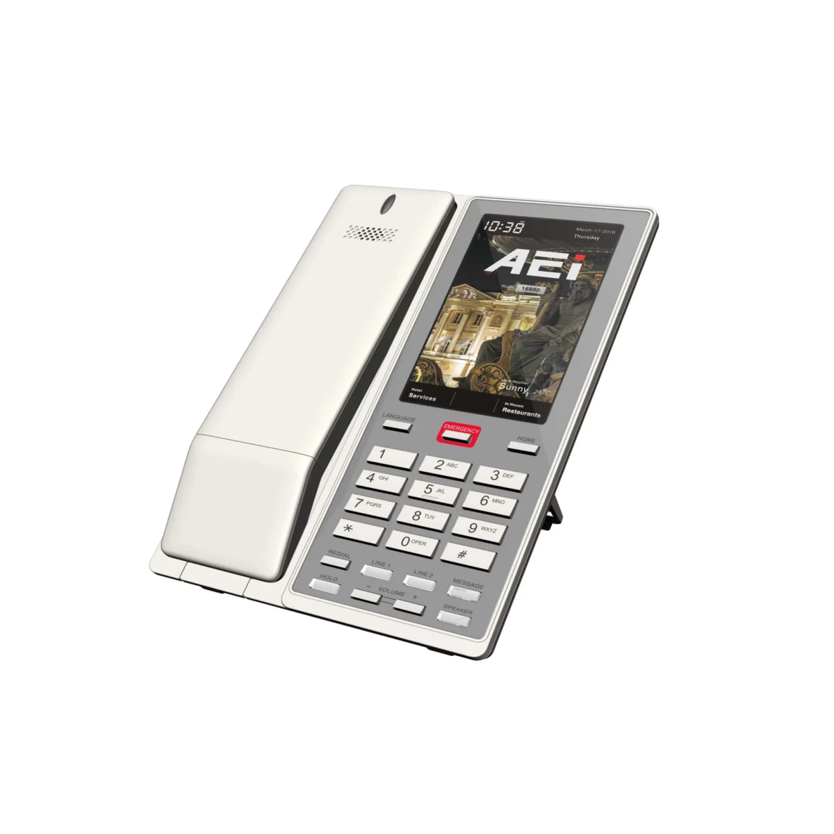 AEI VM-8X00-SMKLT(S) IP Cordless Series with 4.3″ Touch Screen