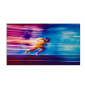 Philips X-Line 55BDL3305X/00 Videowall