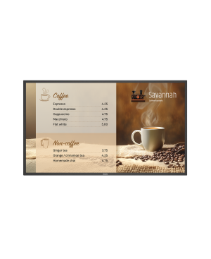 Philips P-Line 43BDL6017P/00 Digital Signage Philips P-Line 43BDL6017P/00 Digital Signage